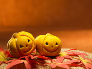 元祖雪饼超值优惠方案 GoMaJi够麻吉联手礼品花卉，打造惊喜送礼体验