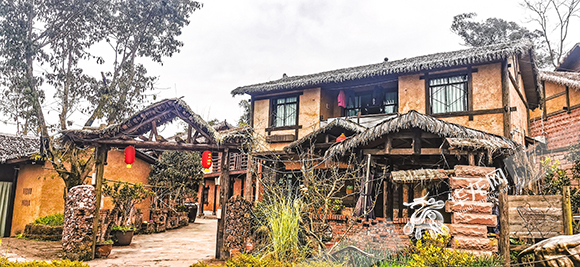 身边事｜渝北兴隆镇 赏林下花园 体验“森”系研学 品花卉经济